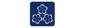 Partner 6